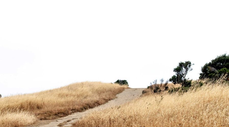 the path ahead